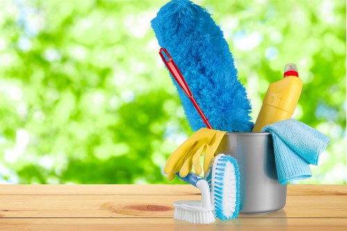Illustration representing accessible carpet cleaning information for SW1 users