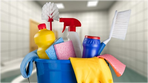 Professional carpet cleaning for SW1 homes and flats