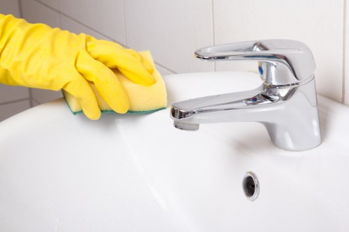 Deep cleaning supplies arranged for a SW1 home service