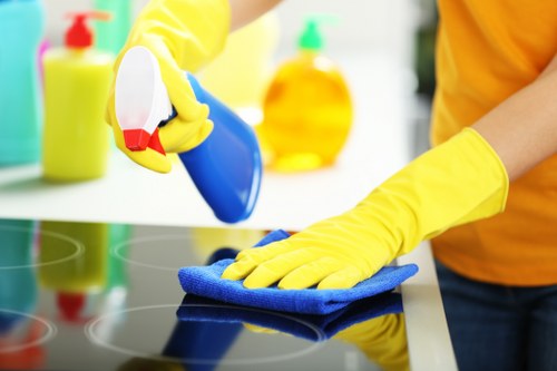 Tailored domestic cleaning service across SW1 residential neighbourhoods