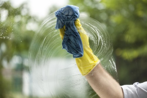 Professional carpet cleaning methods and stain treatment