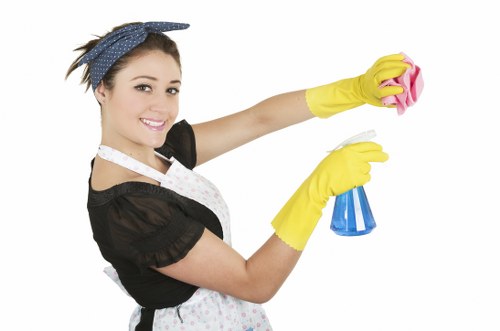 Commercial shopfront and office window cleaning in SW1