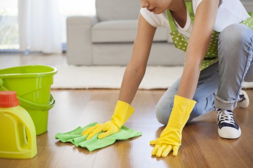 Deep cleaning treatment for a valuable rug in central London